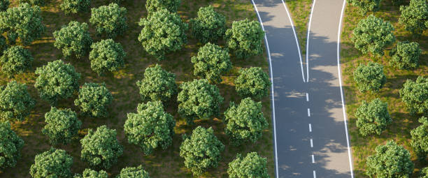 istock Arial image of a forked road within a forest of horse chestnut trees - concept for 