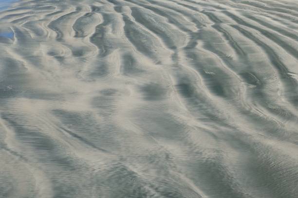 istock Aerial view of a pristine sandy beach with grayish-white sand 1700290531