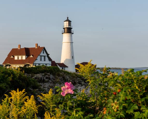 istock the light house sits on a cliff overlooking the ocean and plants 1700294529