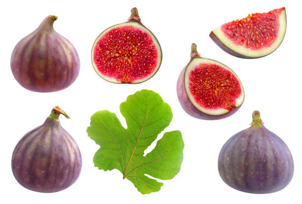 several figs in a black table