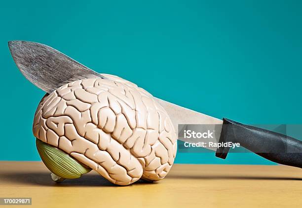 Rozdzielenie Ból Głowy Duże Nóż Do Mózgu Kotletami Model - zdjęcia stockowe i więcej obrazów Nauka - Pojęcia
