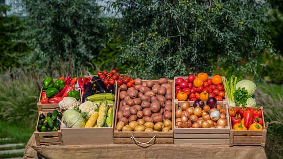 A vibrant array of fresh fruits and vegetables are displayed in the sun