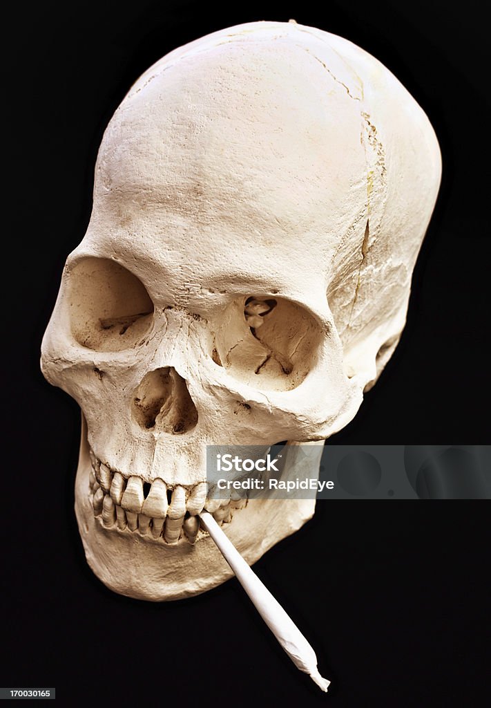 Dead stoner! High-angle view of skull apparently smoking marijuana joint Looking down on deadhead - skull actually -  "smoking" a joint of marijuana. The inevitable end for a dedicated stoner. Marijuana - Herbal Cannabis Stock Photo