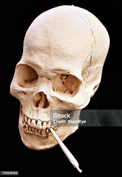 Dead Stoner Highangle View Of Skull Apparently Smoking Marijuana Joint Stock Photo - Download Image Now