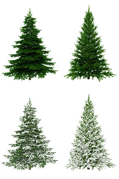 Christmas trees set isolated on white background for fast selection and use, 3D render.
