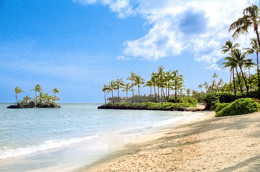 Vintage 1970s film photograph of Kahala beach, Honolulu, beach with several small palm trees growing from the sand.