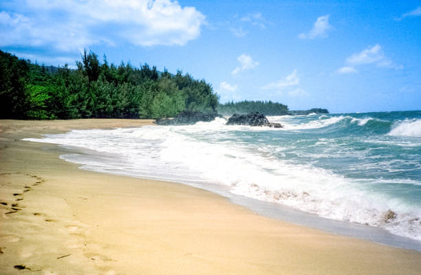 Vintage 1970s film photograph of Lumaha'i beach and ocean through lush greenery on the tropical island of Kauai, Hawaii.