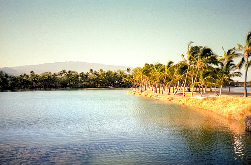 Vintage 1980s film photograph of a vibrant Hawaiian volcanic yellow sunset over the water horizon.