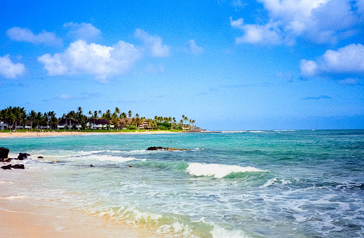 Vintage 1970s film photograph of Lumaha'i beach and ocean through lush greenery on the tropical island of Kauai, Hawaii.