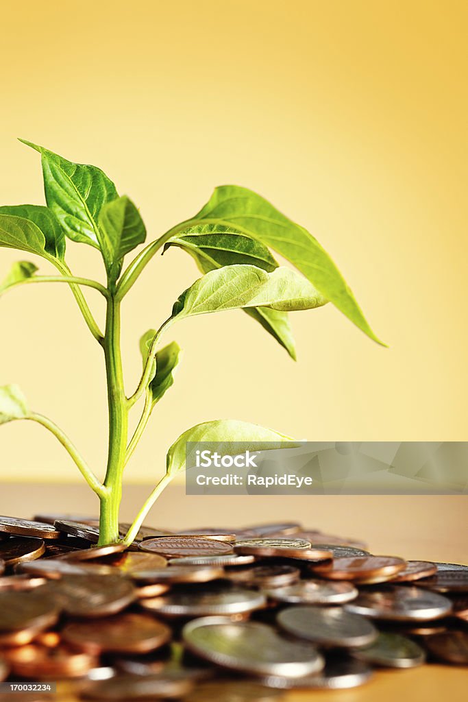 Investimento illustrato dalla rigogliosa vegetazione crescita da letto di monete - Foto stock royalty-free di Abbondanza