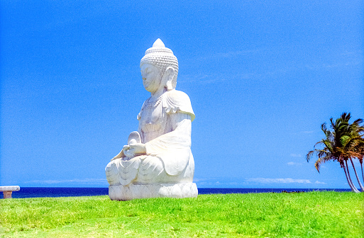 A large white Buddha statue against a clear blue sky in a Hawaii park.