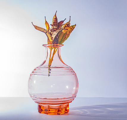 An arrangement of side lit dry brown open seedheads in an orange glass vase