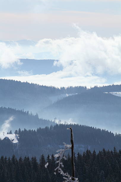 snow winter landscape Black Forest