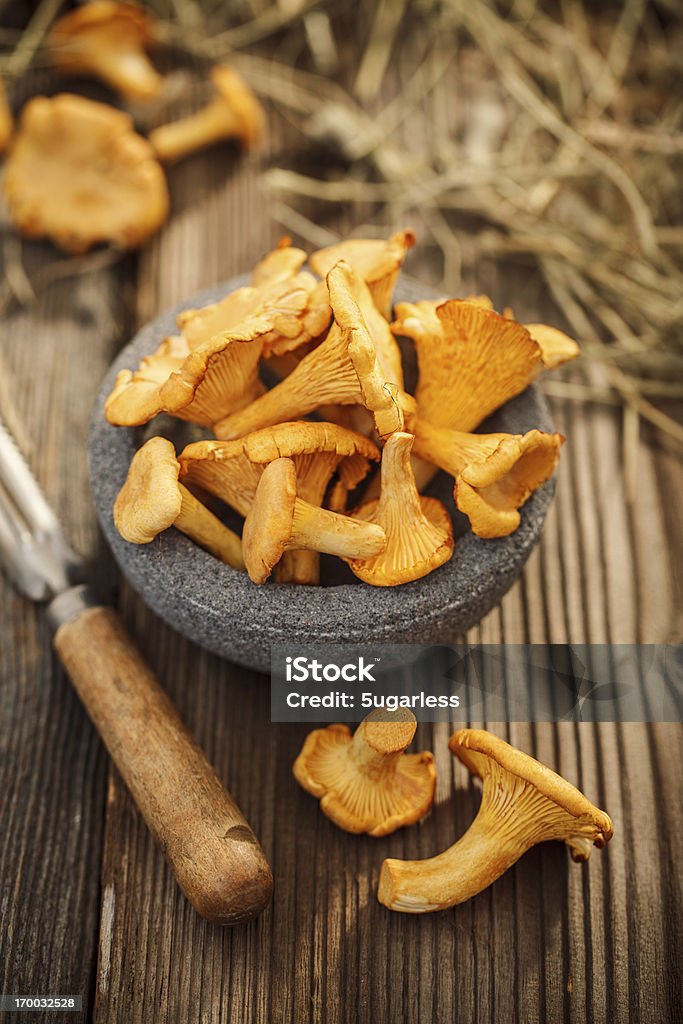 Schüssel mit Pfifferlingen auf а Holztisch - Lizenzfrei Pfifferling Stock-Foto