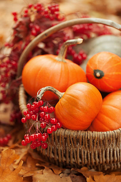 Arrangement with pumpkins