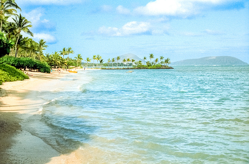 Vintage 1970s film photograph of Kahala beach, Honolulu, beach with several small palm trees growing from the sand.