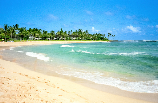 Vintage 1970s film photograph of Lumaha'i beach and ocean through lush greenery on the tropical island of Kauai, Hawaii.