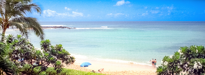 Vintage 1970s film photograph of the beach and ocean through lush greenery on the tropical island of Maui, Hawaii.