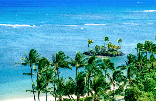Vintage early digital photograph of the crystal clear blue ocean waters of Moorea, French Polynesia from a high angle view through palm trees, as shot on the rare Canon EOS 1N - Kodak DCS 520, one of the first professional digital cameras.