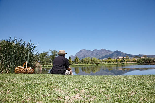South African vineyards in Constantia near Capetown.