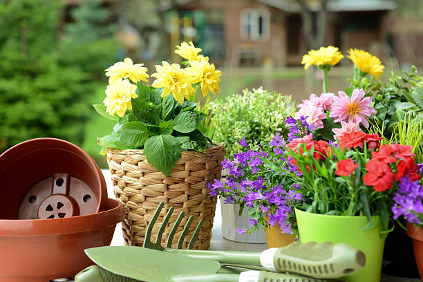 istock flowers in the garden 170034309