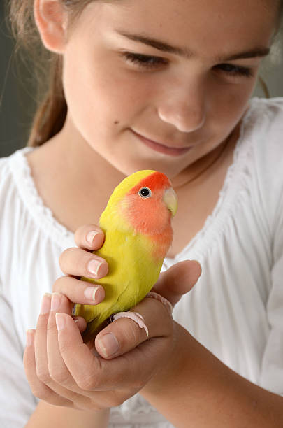 istock Girl Holding Lovebird 170034535