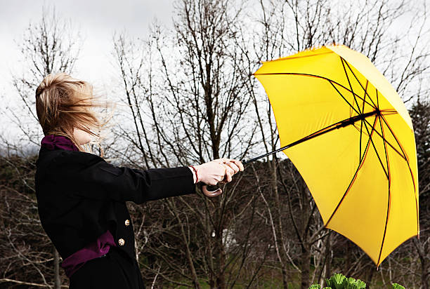 ノックアウト: 若い女性、黄色の傘で、嵐の日 - umbrella women storm yellow ストックフォトと画像
