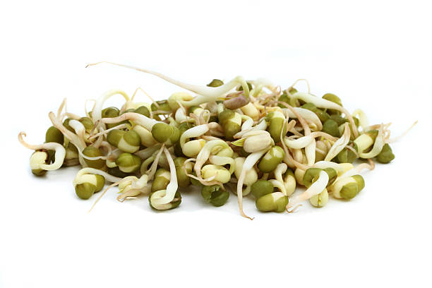 makro bild von mungbohne sprouts - mung bean stock-fotos und bilder