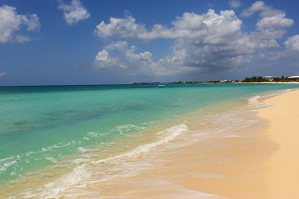 caraïbes: plage de rêve - caïman photos et images de collection