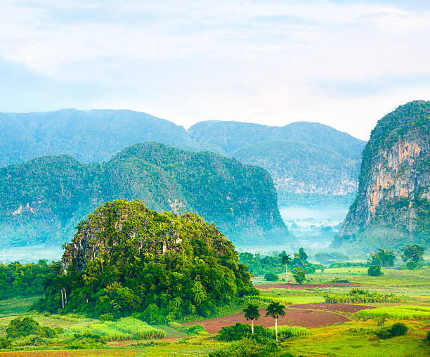 valle de vinales, cuba - house landscaped beauty in nature horizon over land - fotografias e filmes do acervo