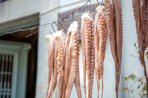 Greek style dried octopus is hanging on a rope.\nAthens - Greece.