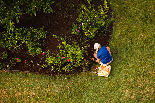istock Woman Gardening 170039117