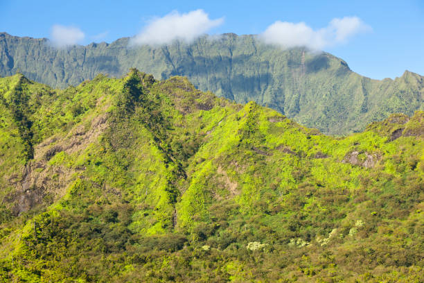 istock Kauai Tropical Rain Forest 170039212
