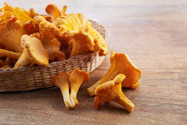 istock Forest Mushrooms chanterelles on a wooden old background. 1700403420