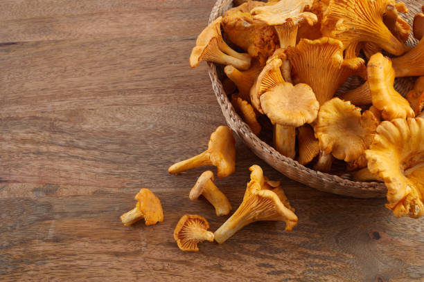 istock Forest Mushrooms chanterelles on a wooden old background. 1700403963