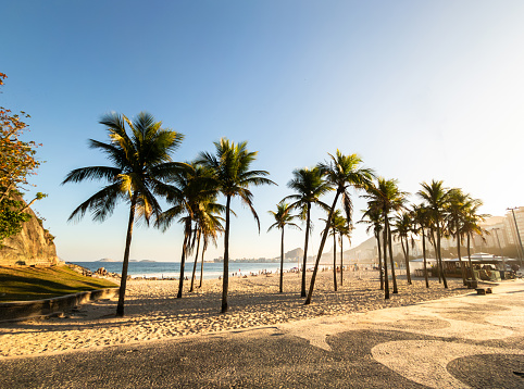 Sunset view at Leme beach with coconut trees in Rio de Janeiro Brazil.