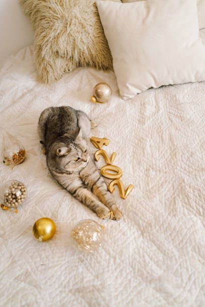 istock Happy New Years 2024. 1700417240