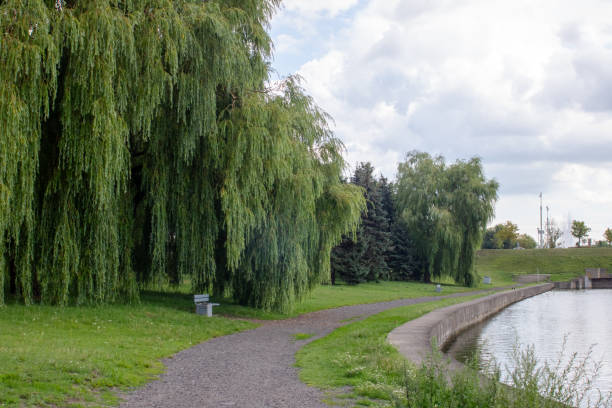 istock Path in the park by the river 1700417827