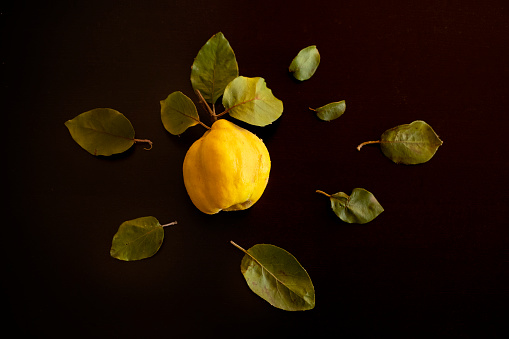 One yellow quince on black background