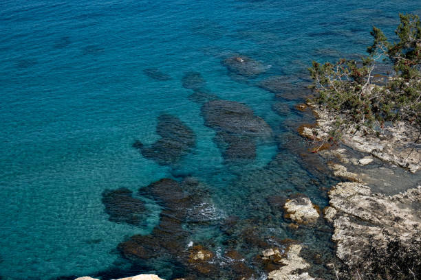 Close up of Akamas peninsula beach and water