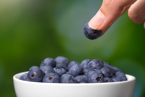 Close-up of female fingers pulling out a ripe blueberry berry from a white bowl on a blurry green background, macro photography