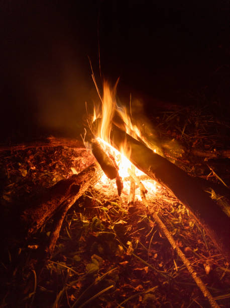 istock fireplace with burning firewood at night 1700436685