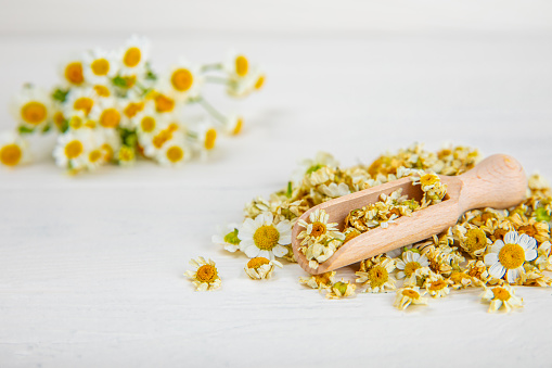 Dry chamomile flowers on a wooden table. Soothing chamomile tea. Herbal drink. flat layout. Space for text.Copy space.Medical prevention and immune concept. Folk alternative medicine.