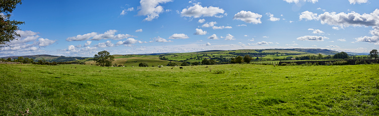 A bright and sunny August afternoon gives a panoramic view looking south towards Draughton Moor from Halton East