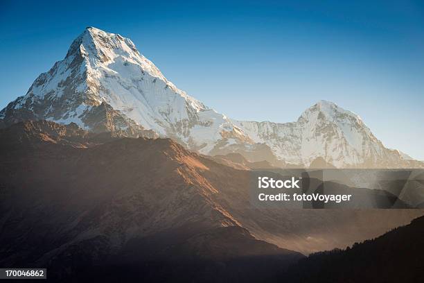 Photo libre de droit de Dawn Feu De Signalisation Sur De Spectaculaires Snow Mountain Peak Annapurna Himalaya Népal banque d'images et plus d'images libres de droit de Aiguille rocheuse