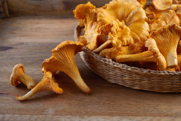 istock Forest Mushrooms chanterelles on a wooden old background. 1700477538