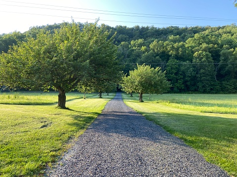 Gravel driveway on a rural property lined with trees in the summer in the Pocono Mountains