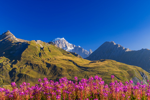 Landscape near Col du Petit-Saint-Bernard with Mont Blanc, on border France and Italy