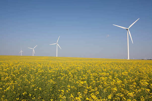 turbina a vento - manitoba canada prairie canola foto e immagini stock