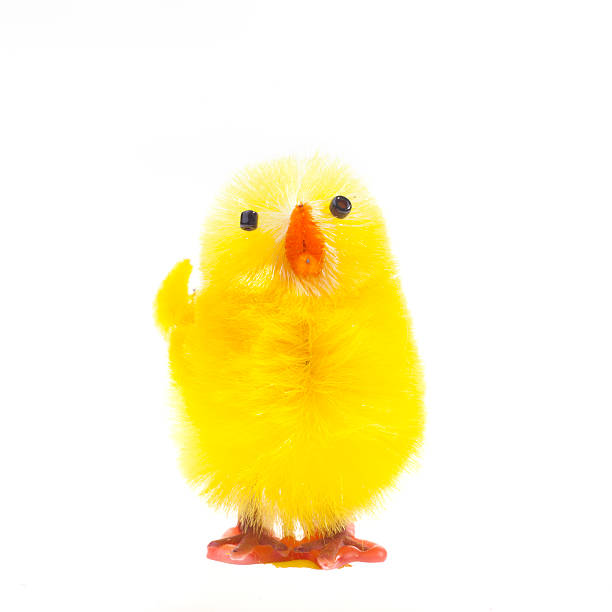 Easter chick isolated on white stock photo